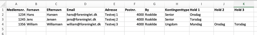 Eksempel på medlemsdata i regneark